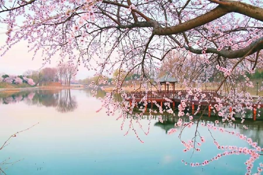七绝·贺题图格律诗千首（文/方立新）……莲叶之珠文学社（图3）