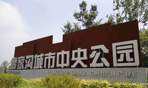 【重磅推出 新年放歌】潘启剑//真好啊！大巴山的浓雾（图13）