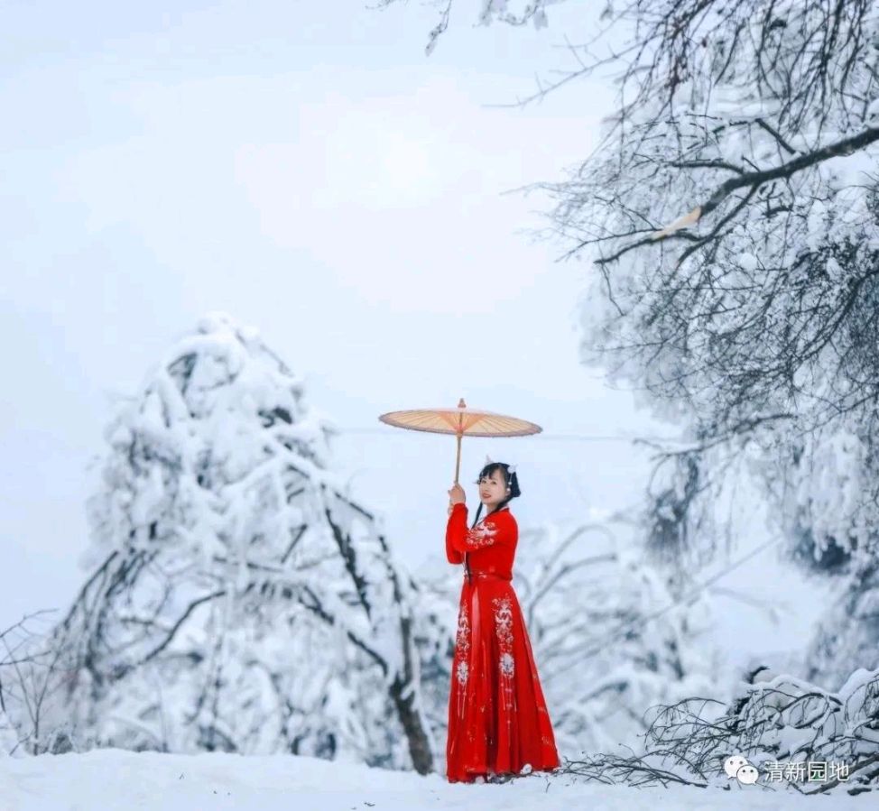 《雪中徜徉》文／徐艳丽 主播/邢伟（图4）