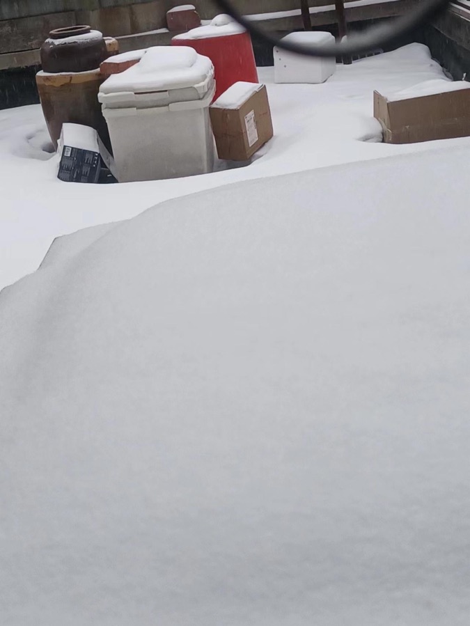 雪，作者朱建国
