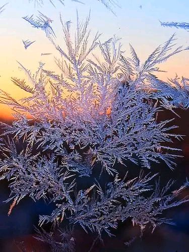 《沁园春 · 小寒时节》作者/黄石华（图2）