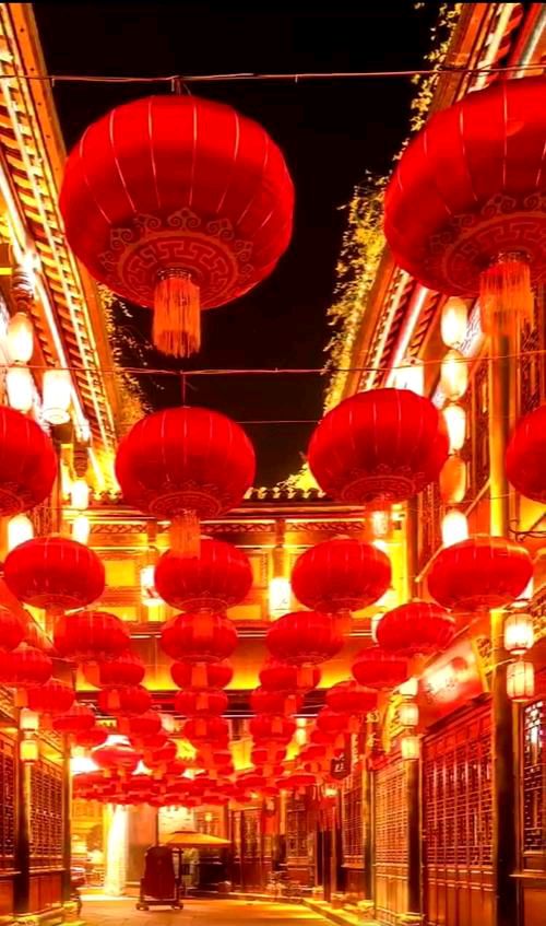 【新山东文学社】庆祝元旦专刊:《七绝.2024年元旦抒怀（十二首）》作者/辉叔（图6）