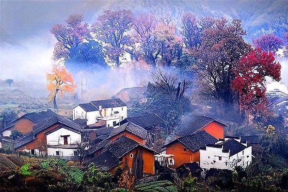 【重磅推出 新年放歌】潘启剑//真好啊！大巴山的浓雾（图15）