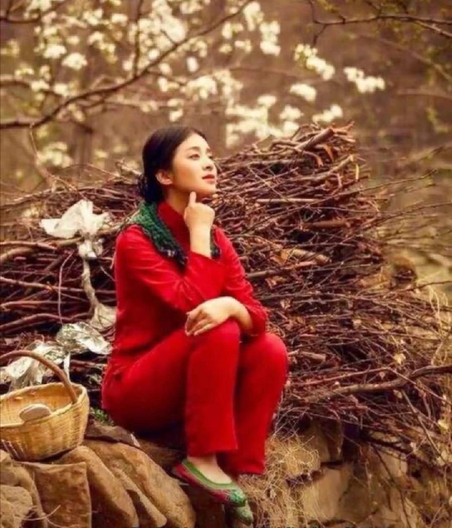 【荣耀中国】曹瑜题图诗第110期（图4）