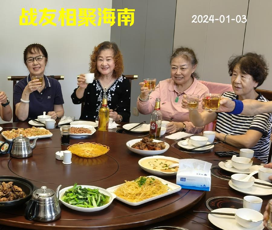 战友相聚海南～诗||李耀文（图22）