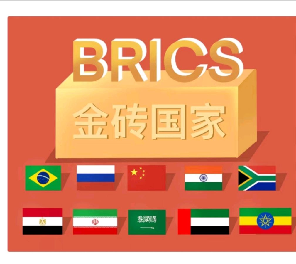 金字经-新年喜事金砖五国扩员成十国* 文/冯志清（上海）【冰心文化传媒】主编冰心（图3）