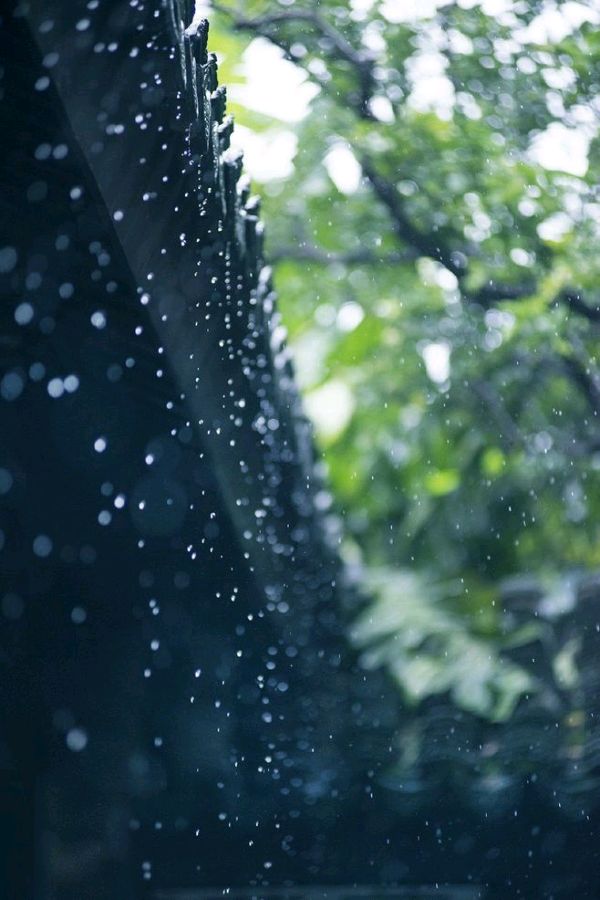 爱玲朗诵【一月里的歌】作者/牧夫（图6）