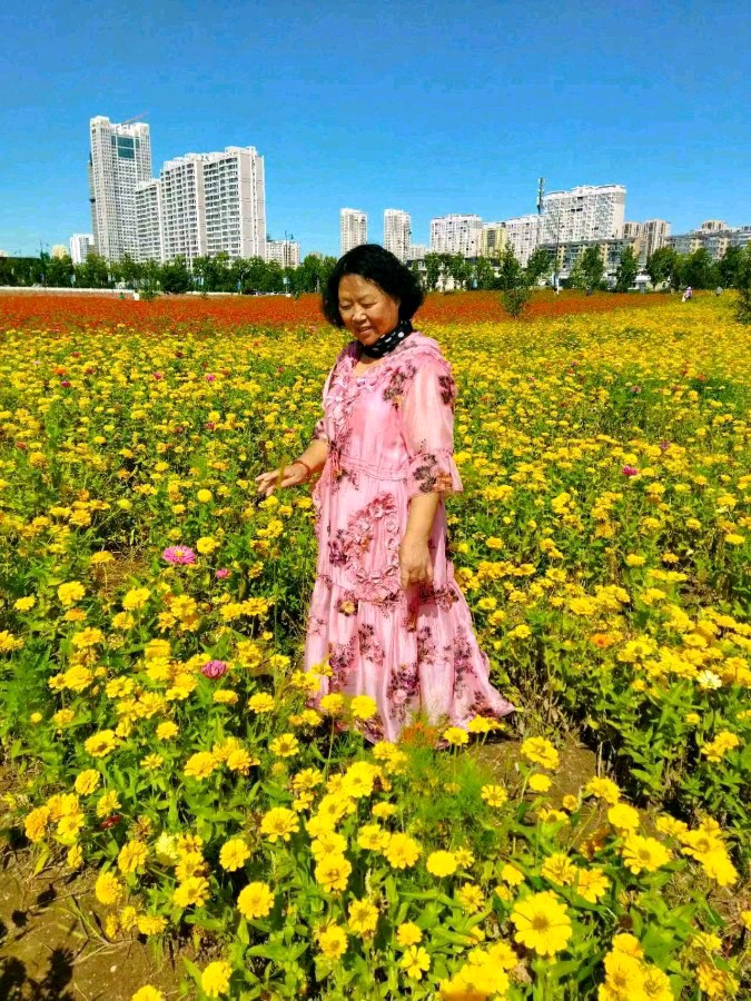 中华诗艺黑龙江分社微刊第166期(图38)