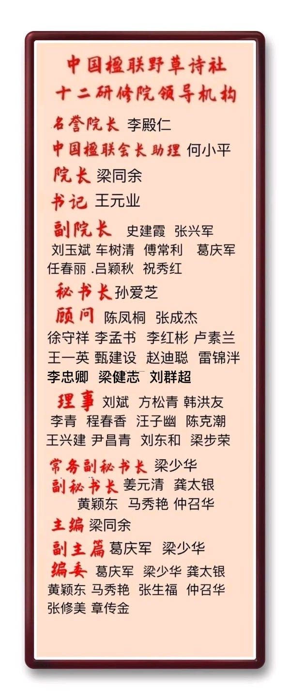 野草诗社十二(江苏)研修院042期微刊《元旦献词抵人心》(图67)
