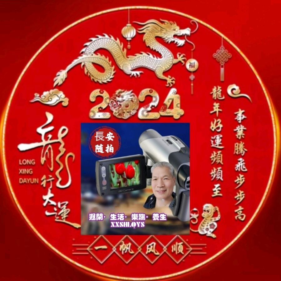 🎥【🌇锦园冬月】〈第02集〉（图4）