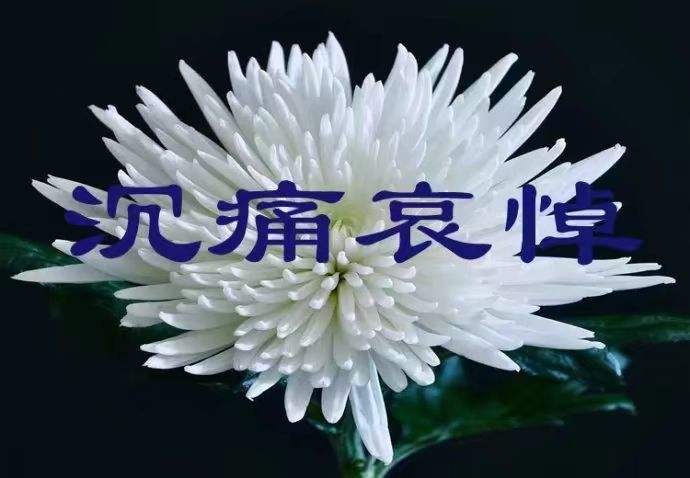 赵万志:教师与作家 ;谨以此文——深情地悼念,原宁夏平罗县高级教师与作家杨作枢老师逝世(图3)