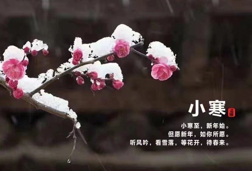 【新诗大观】小寒||文/张道发