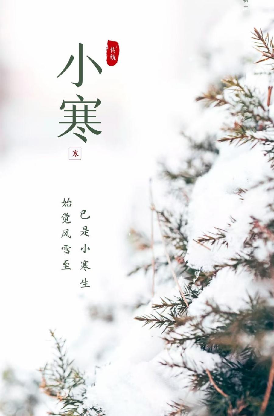 中华诗艺社【黑龙江分社】微刊第299期(图10)