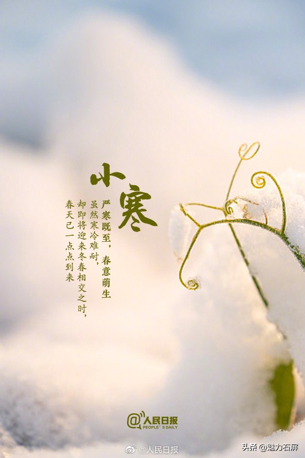 小寒吟（文/陈守邦）……莲叶之珠文学社
