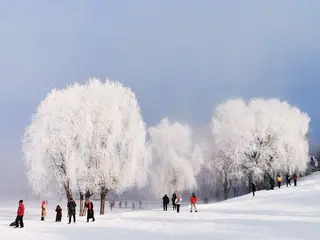 小寒节气‖巴彦诗协诗词卷【614】（图6）