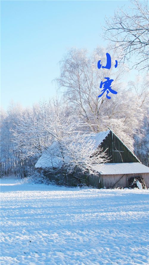 《九江文学社：北京头条》《小寒节气》专刊【总第1966期】（图17）