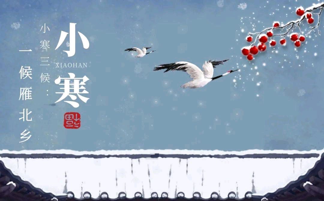 《九江文学社：北京头条》《小寒节气》专刊【总第1966期】（图16）