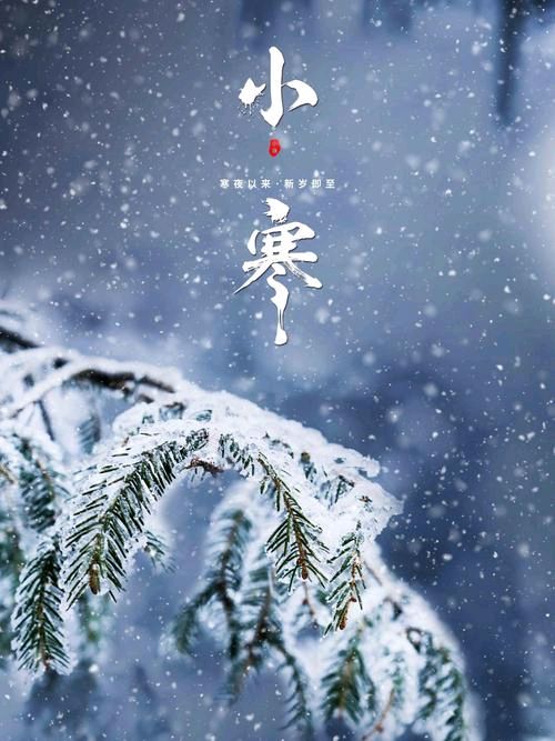 《九江文学社：北京头条》《小寒节气》专刊【总第1966期】（图15）