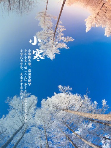 《九江文学社：北京头条》《小寒节气》专刊【总第1966期】（图24）