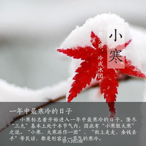 《九江文学社：北京头条》《小寒节气》专刊【总第1966期】（图25）