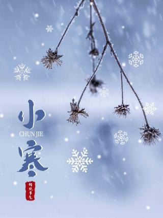 《九江文学社：北京头条》《小寒节气》专刊【总第1966期】（图26）