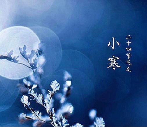 【新诗大观】同题诗：小寒||文/惊鸿照影/王婕/笔架山人/金粉玉蝶/最美的时光（图5）