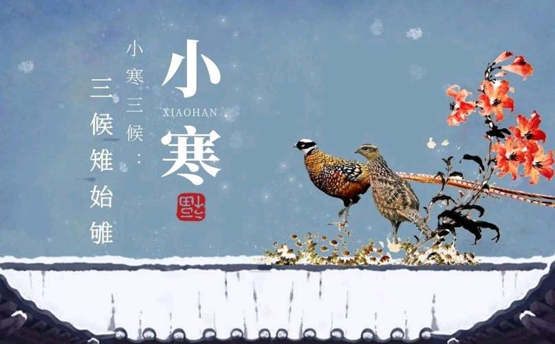 【专题推荐】曾培方老师//小寒感怀（图4）