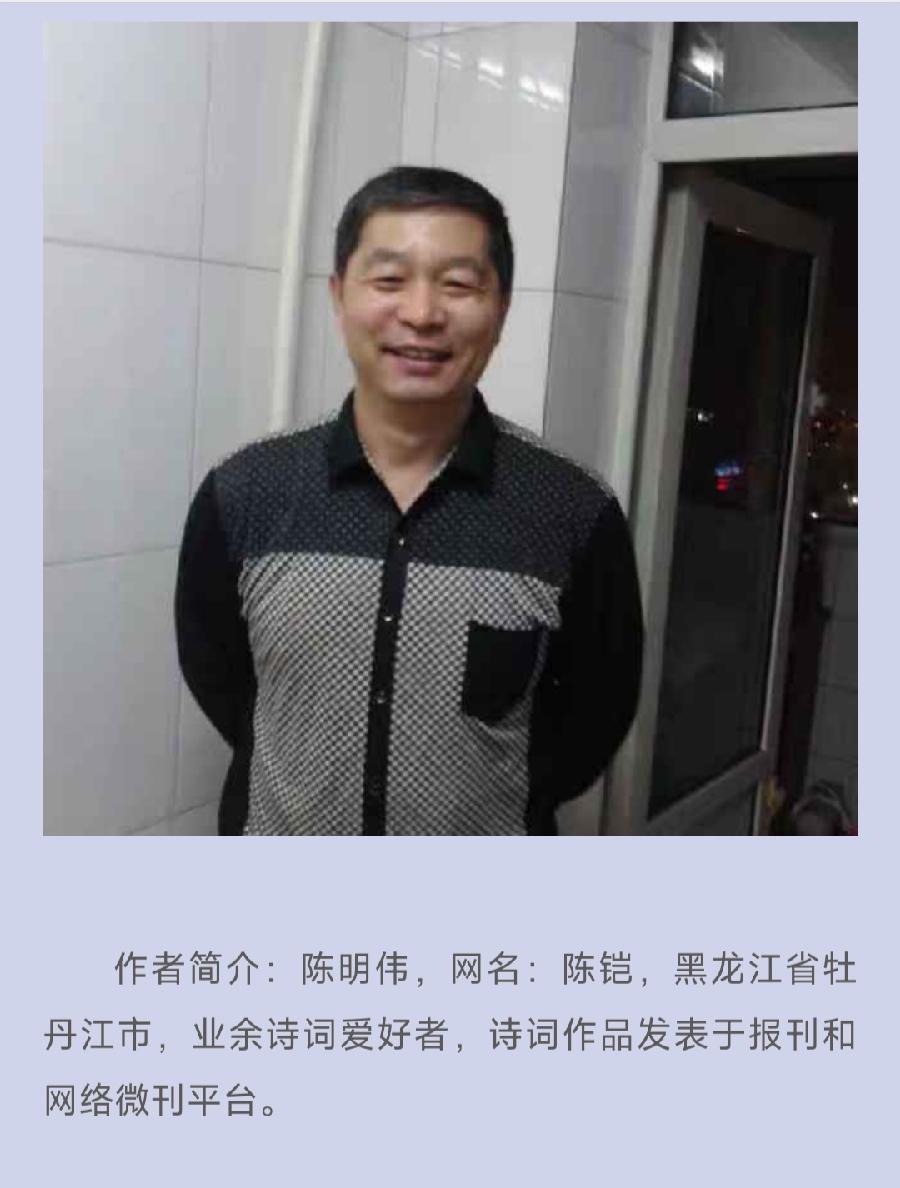 中华诗艺社【黑龙江分社】微刊第300期(图39)