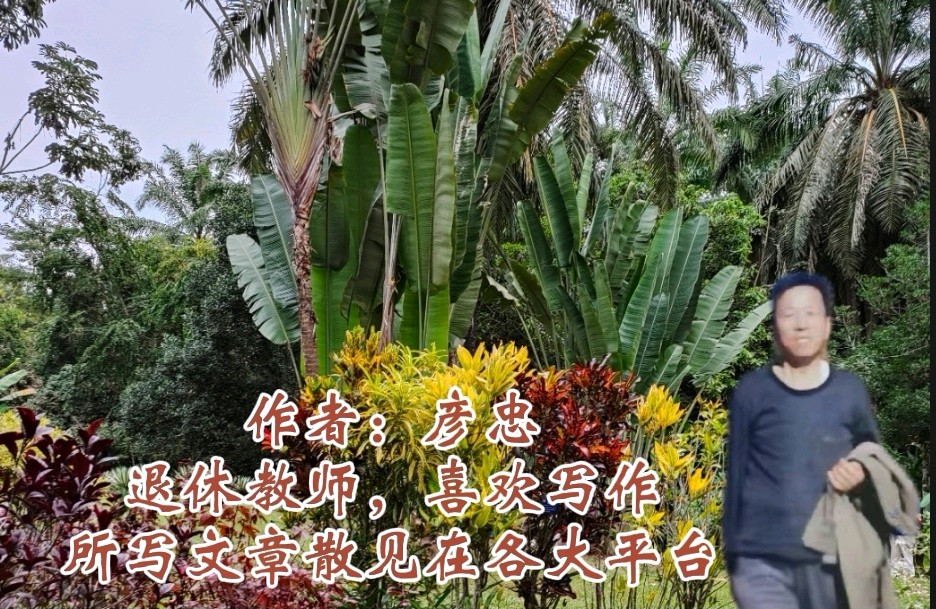 《版纳遇故知，迎新年联谊会》致词/祥云 作者/长春 海春 彦忠 雨杉【花雨馨声】第548期（图14）