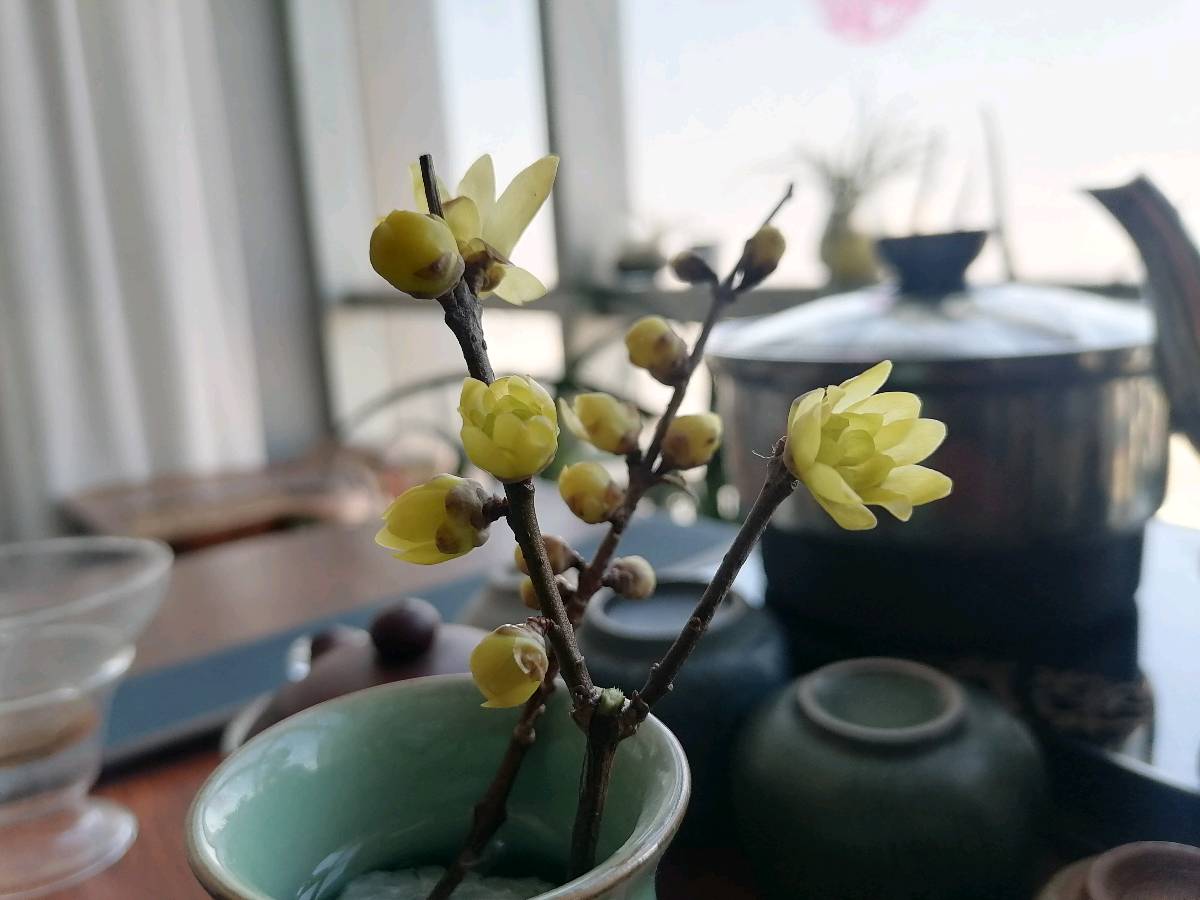 世界是旧情节（图2）