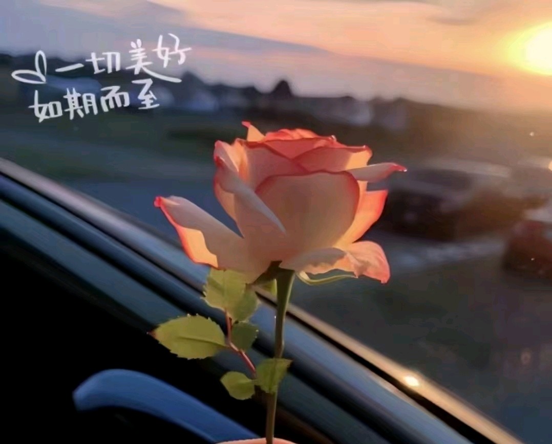 午后畅享曲