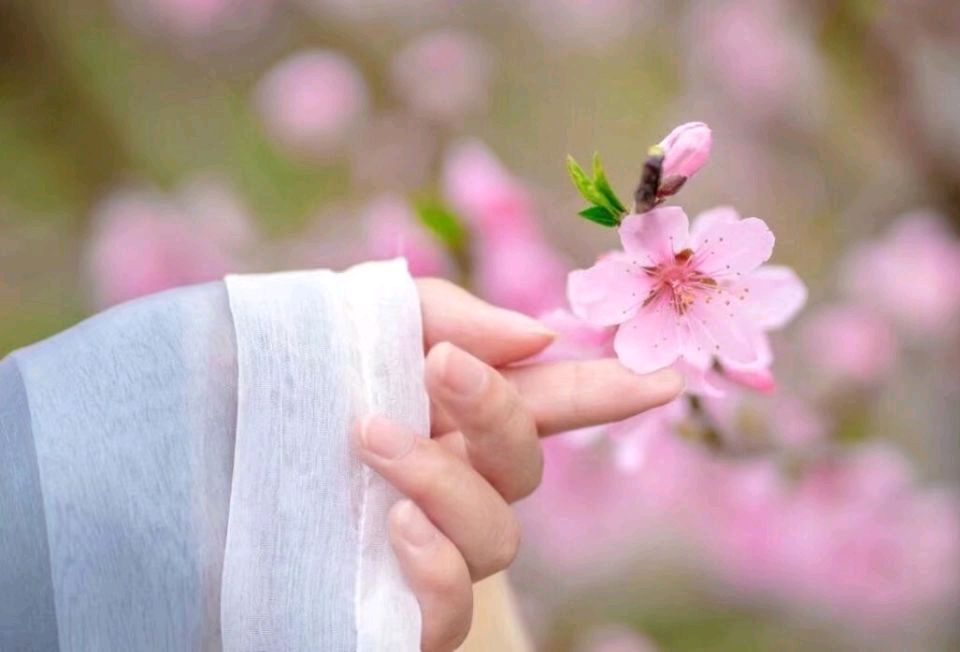 *诗歌小辑*文/刘淑芹〔吉林〕【冰心文化传媒】主编 冰心（图3）