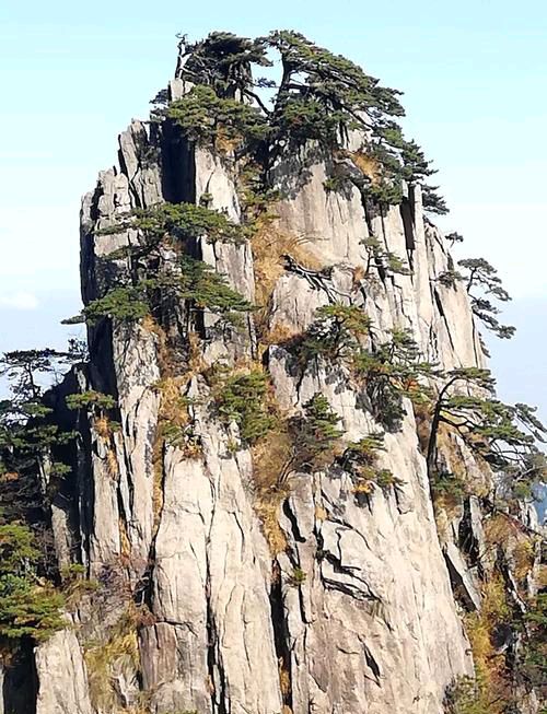 【新山东文学社】力荐:《古风.松之咏（三首）》作者/草门居士（图4）