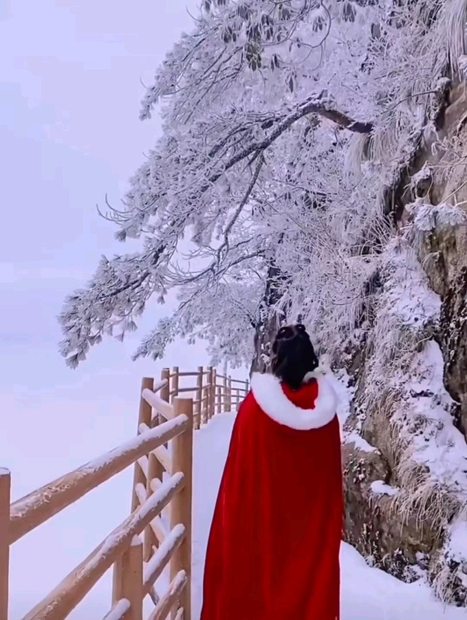 王茹诗词专辑第179期（图22）