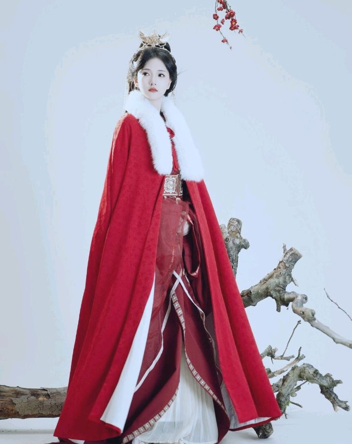 王茹诗词专辑第179期（图27）