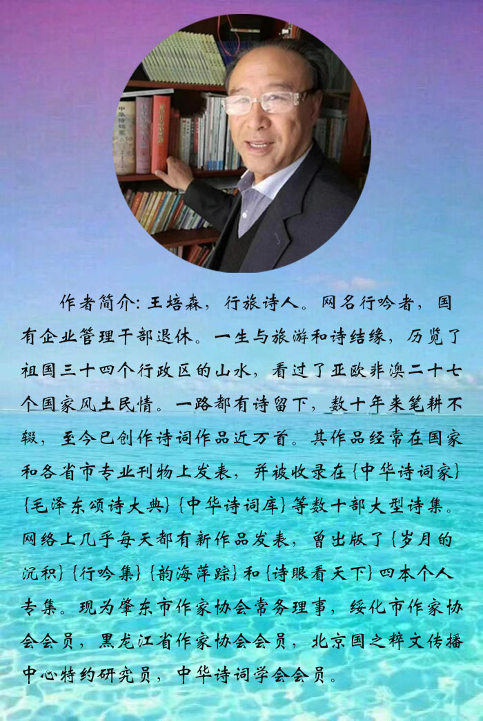 中华诗艺社【黑龙江分社】微刊第301期(图48)