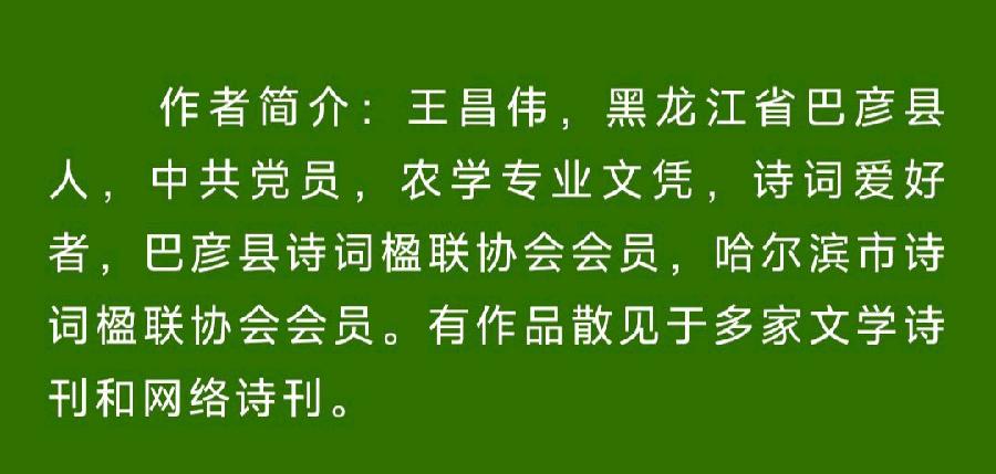 中华诗艺社【黑龙江分社】微刊第301期(图55)