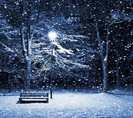 《冬夜》作者:秋谷【主播:雪如玉】【桃源国际诗歌文化传媒】用声音传递温暖以诵读致敬人生♬（图5）