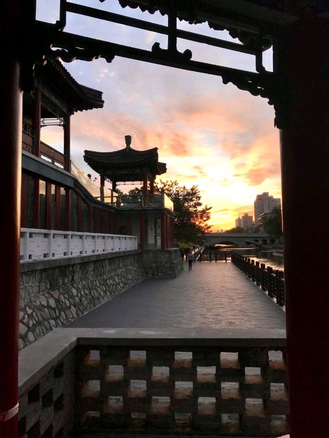 诗画小辑*作者：萧軍〔西安〕【冰心文化传媒】（图7）