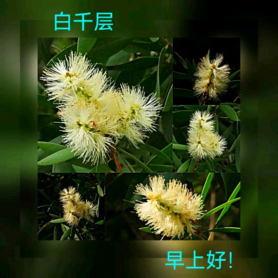 联机全球发布马洪武作品欣赏（图281）