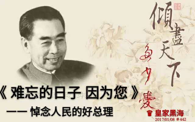 刘林丽诗歌作品《西花厅海棠花的呼唤》朗诵 玫瑰 编辑制作刘林丽(图5)