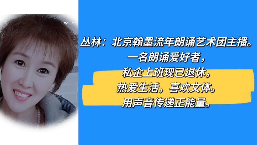 丛林