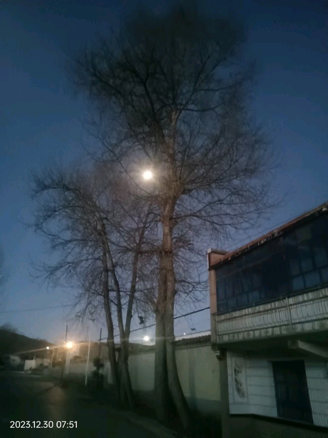 诗词小辑*作者：柳溪拾花〔青海〕【冰心文化传媒】（图6）