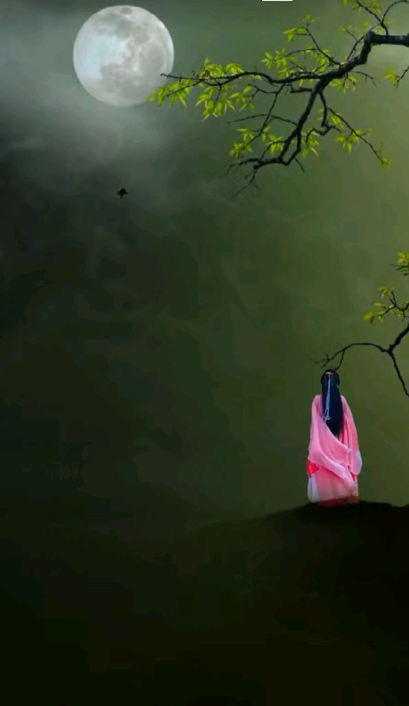 诗词小辑*作者：柳溪拾花〔青海〕【冰心文化传媒】（图8）