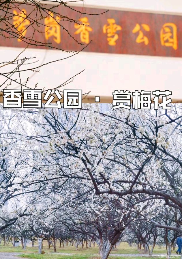 【专题推荐】曾培方//第十四届香雪文化旅游节咏怀（图3）