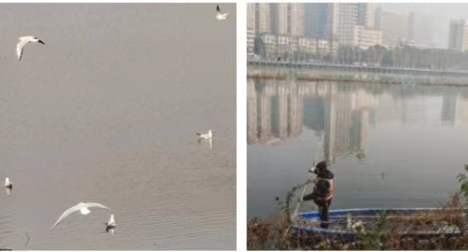 奔八即景竹枝词11首 曾凡华（图5）