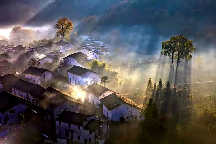 绚丽的·奇葩·作者：吉运〔新疆伊犁〕【冰心文化传媒】（图4）