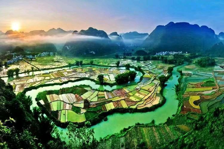 绚丽的·奇葩·作者：吉运〔新疆伊犁〕【冰心文化传媒】（图5）