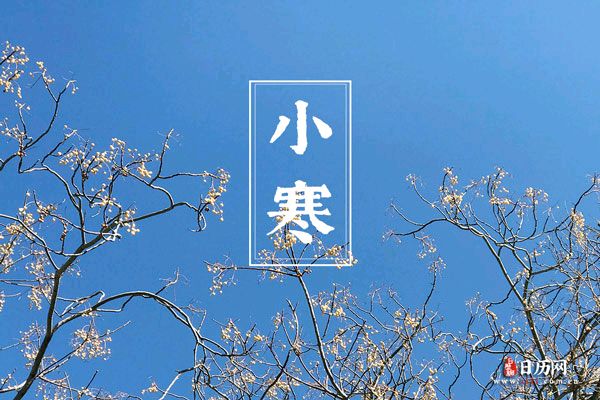 诗词小辑*作者：王金芳〔甘肃天水〕【冰心文化传媒】主编冰心（图5）