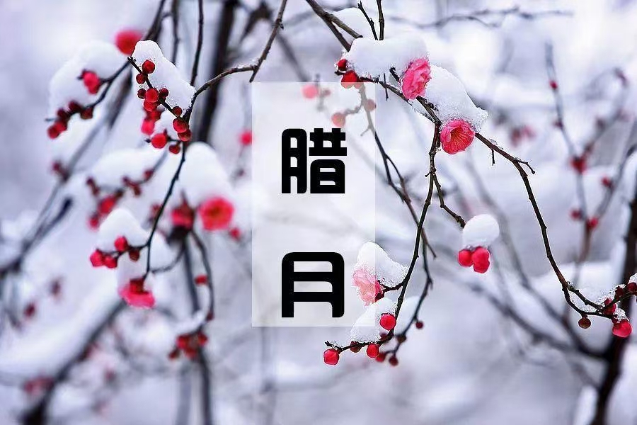 中华诗艺社【黑龙江分社】微刊第302期(图9)
